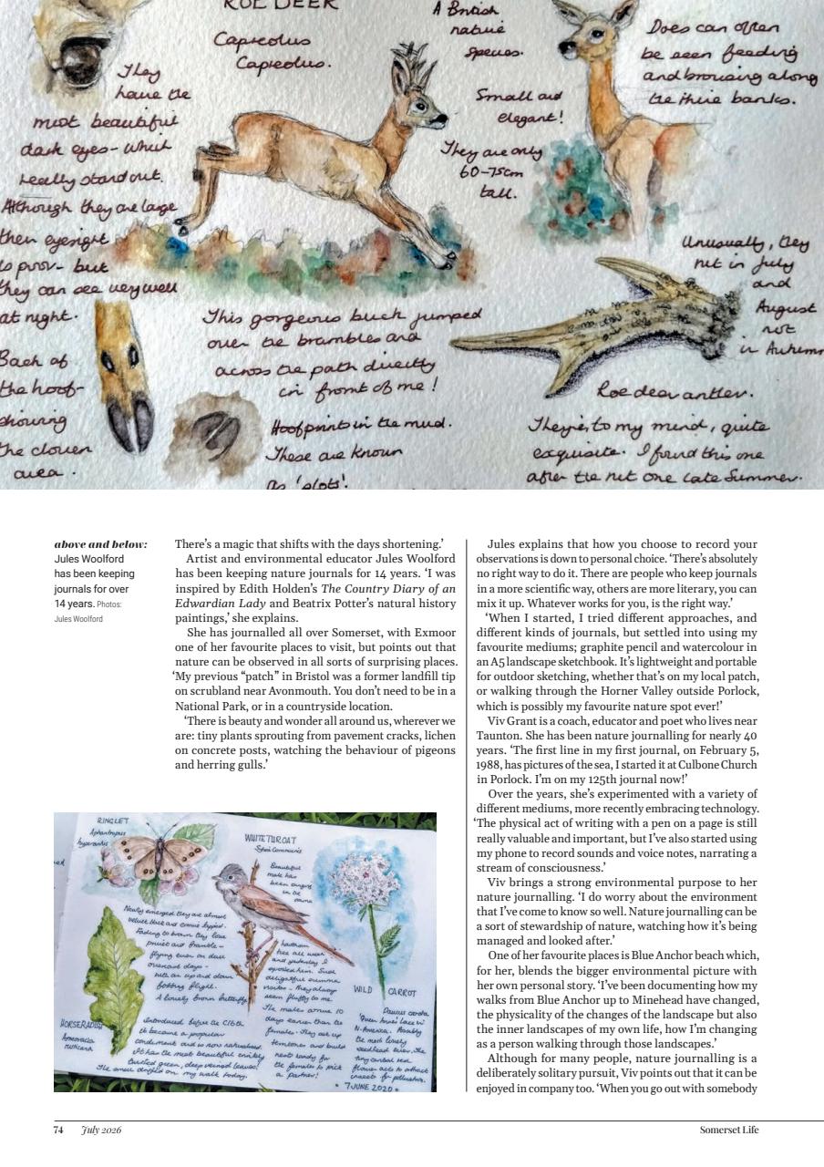 Somerset Life Preview Pages