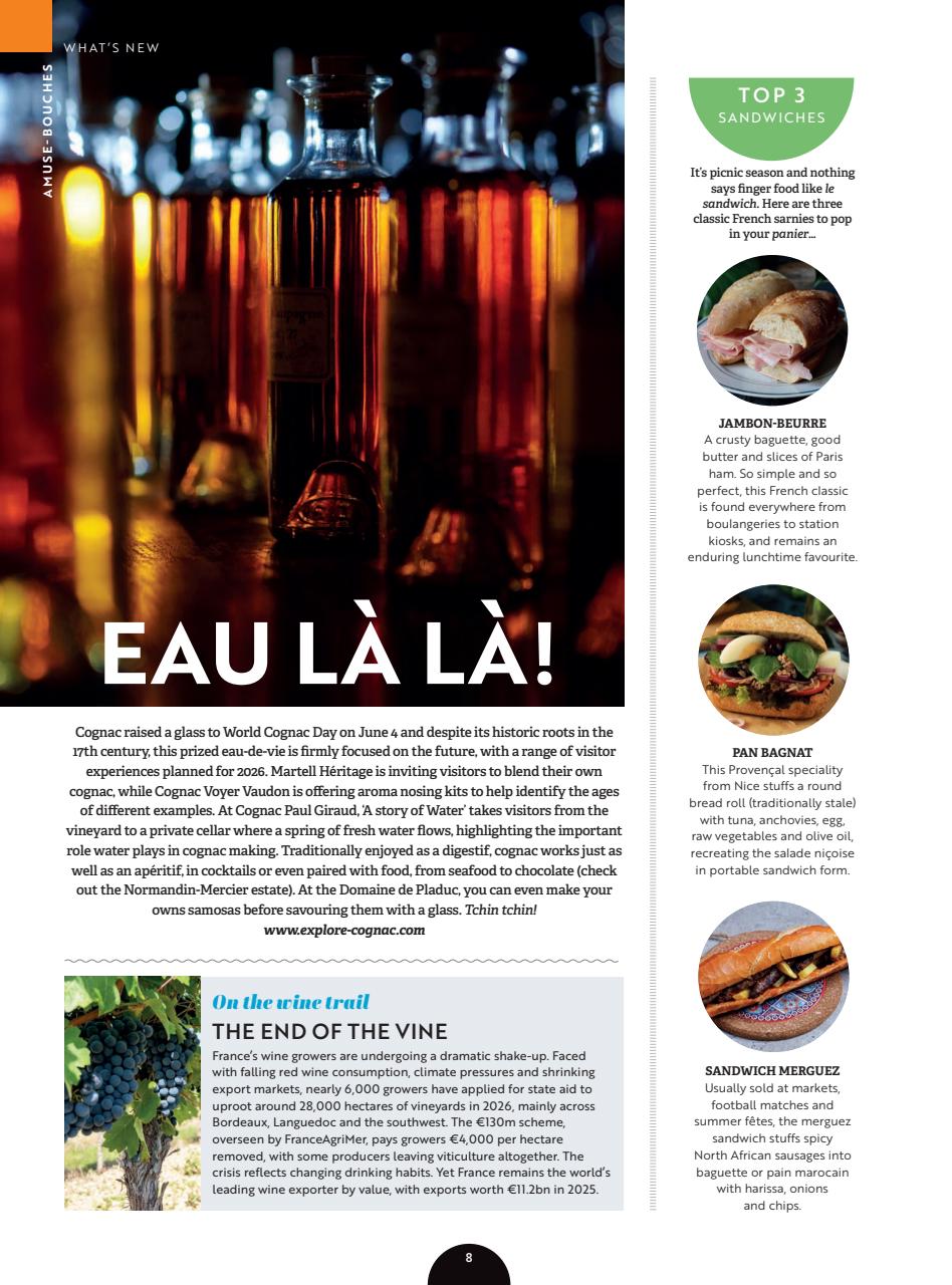 France Today Preview Pages