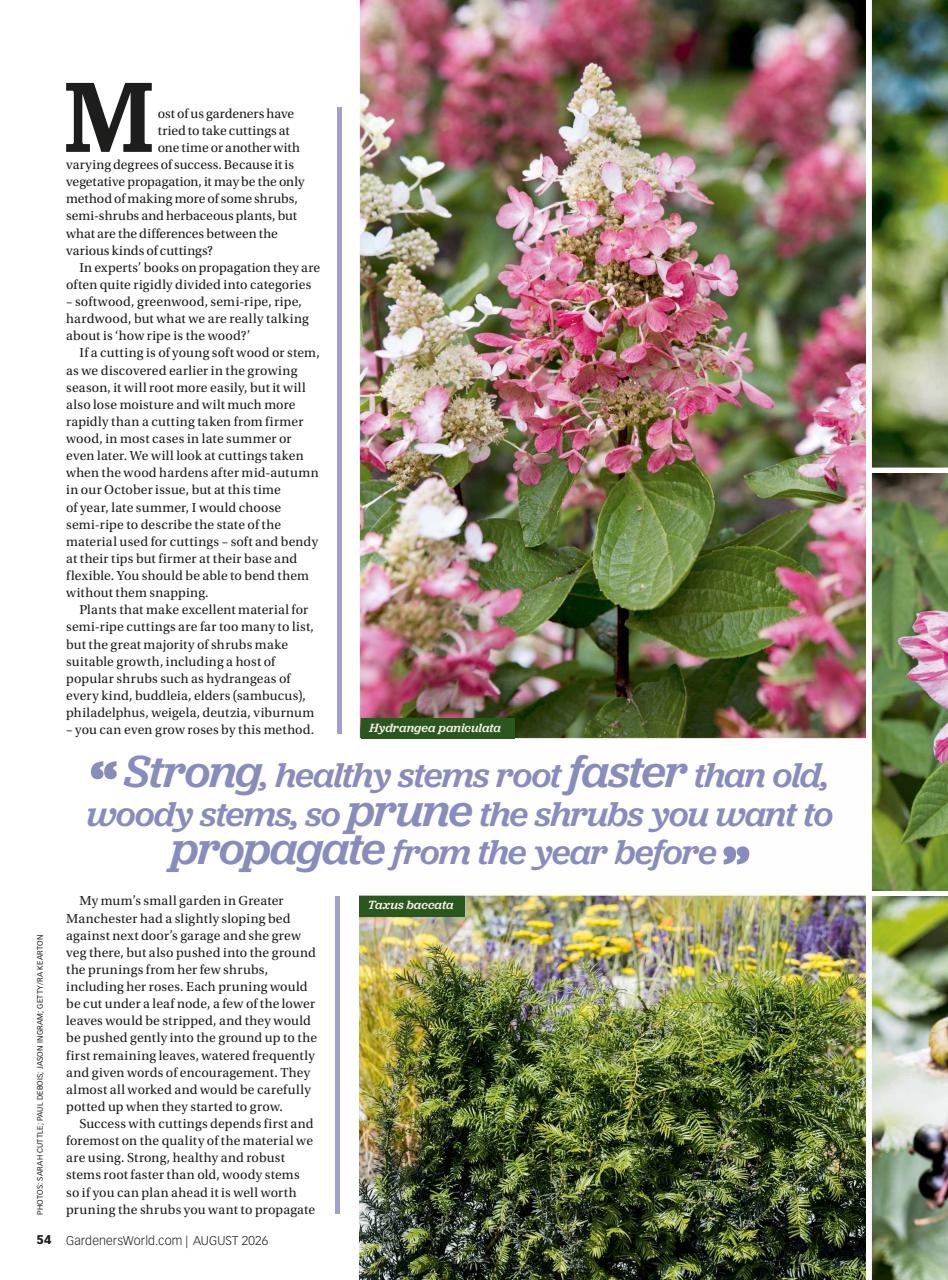 BBC Gardeners’ World Magazine Preview Pages