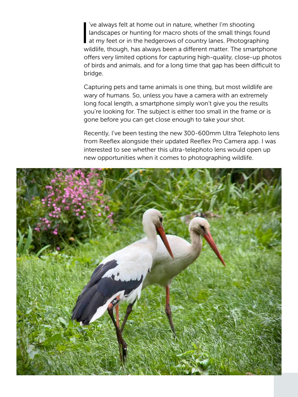 Mobiography Preview Pages