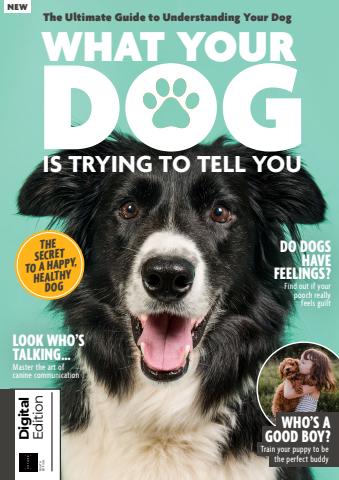Lifestyle Bookazine issue Lifestyle Bookazine
