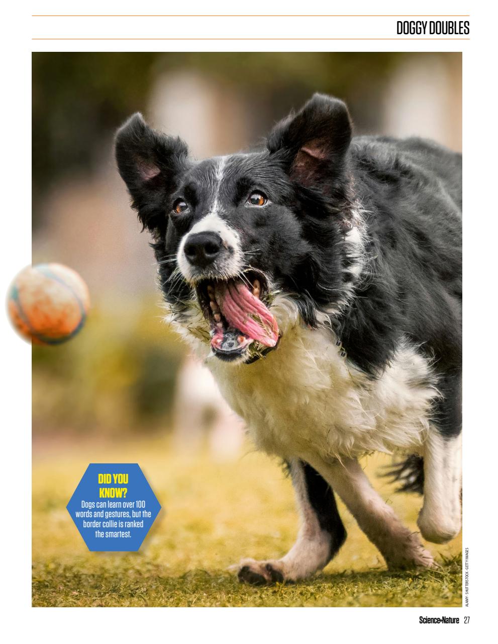 The Week Junior Bookazine Preview Pages