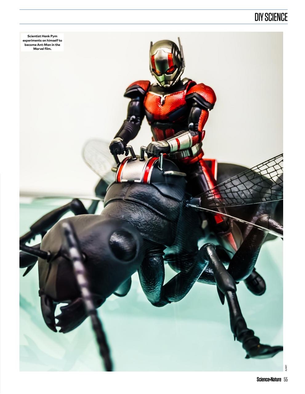 The Week Junior Bookazine Preview Pages