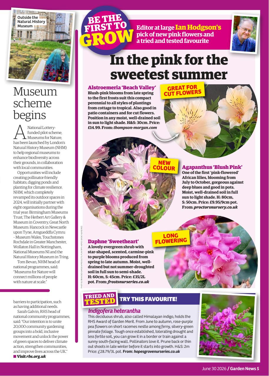Garden News Preview Pages