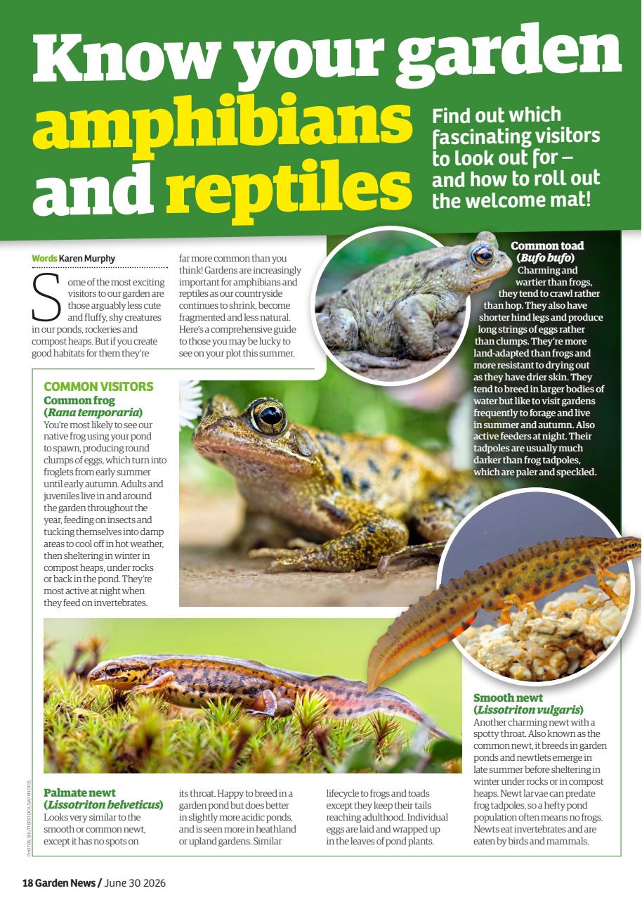 Garden News Preview Pages