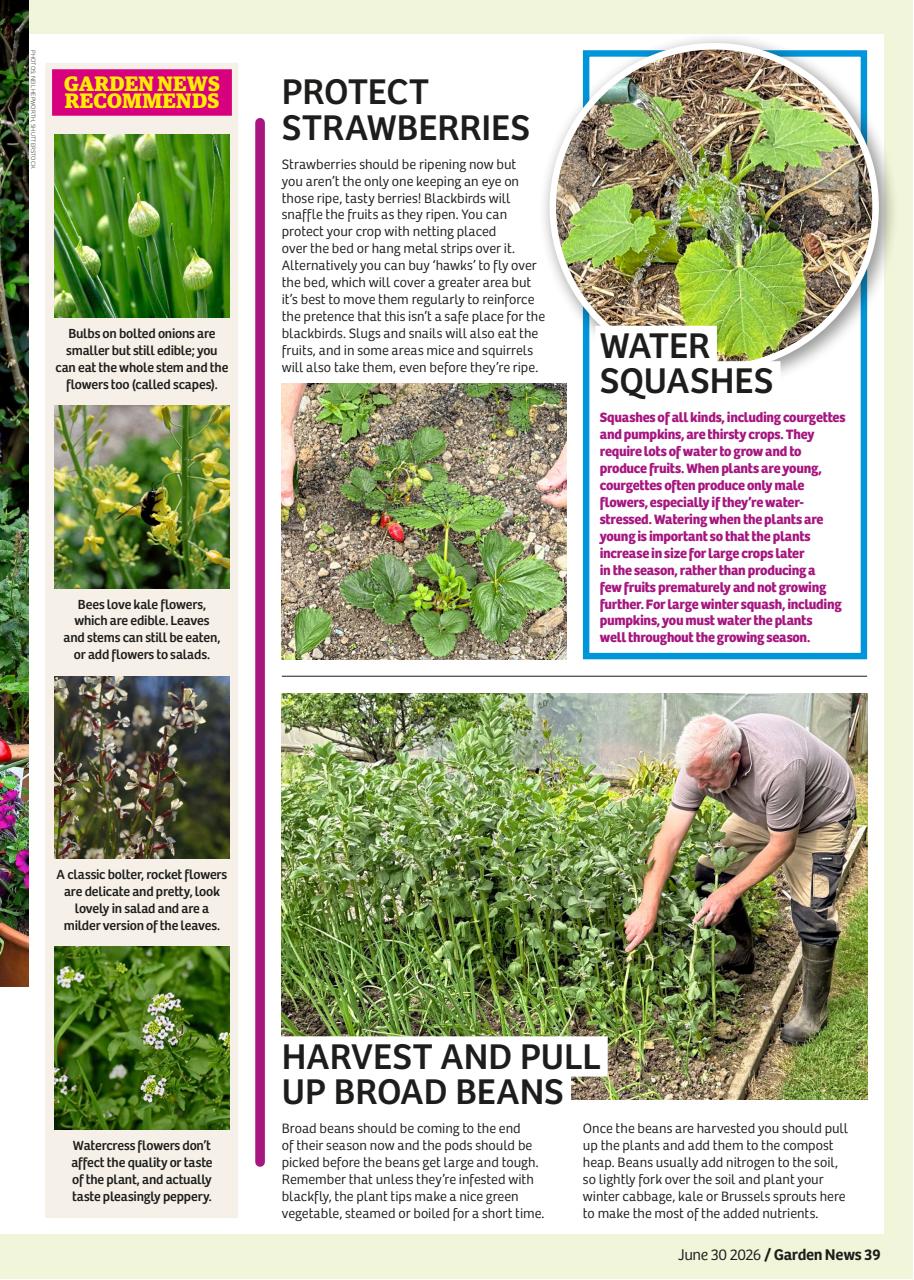 Garden News Preview Pages