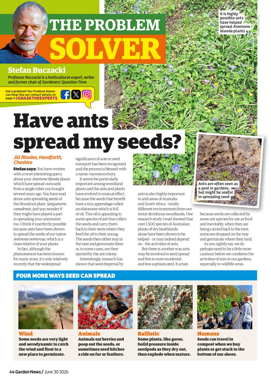 Garden News Preview Pages