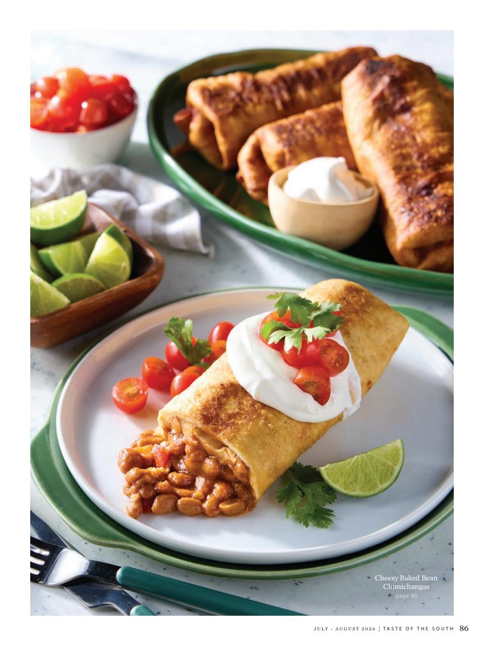 Taste of the South Preview Pages