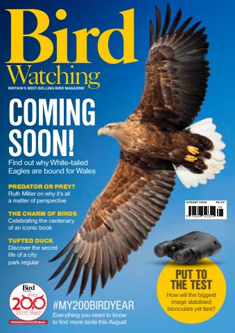Bird Watching issue Aug-26