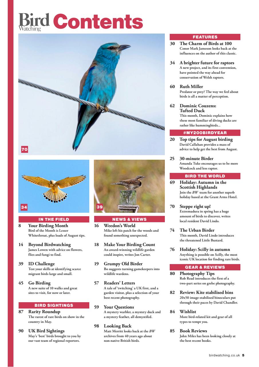 Bird Watching Preview Pages