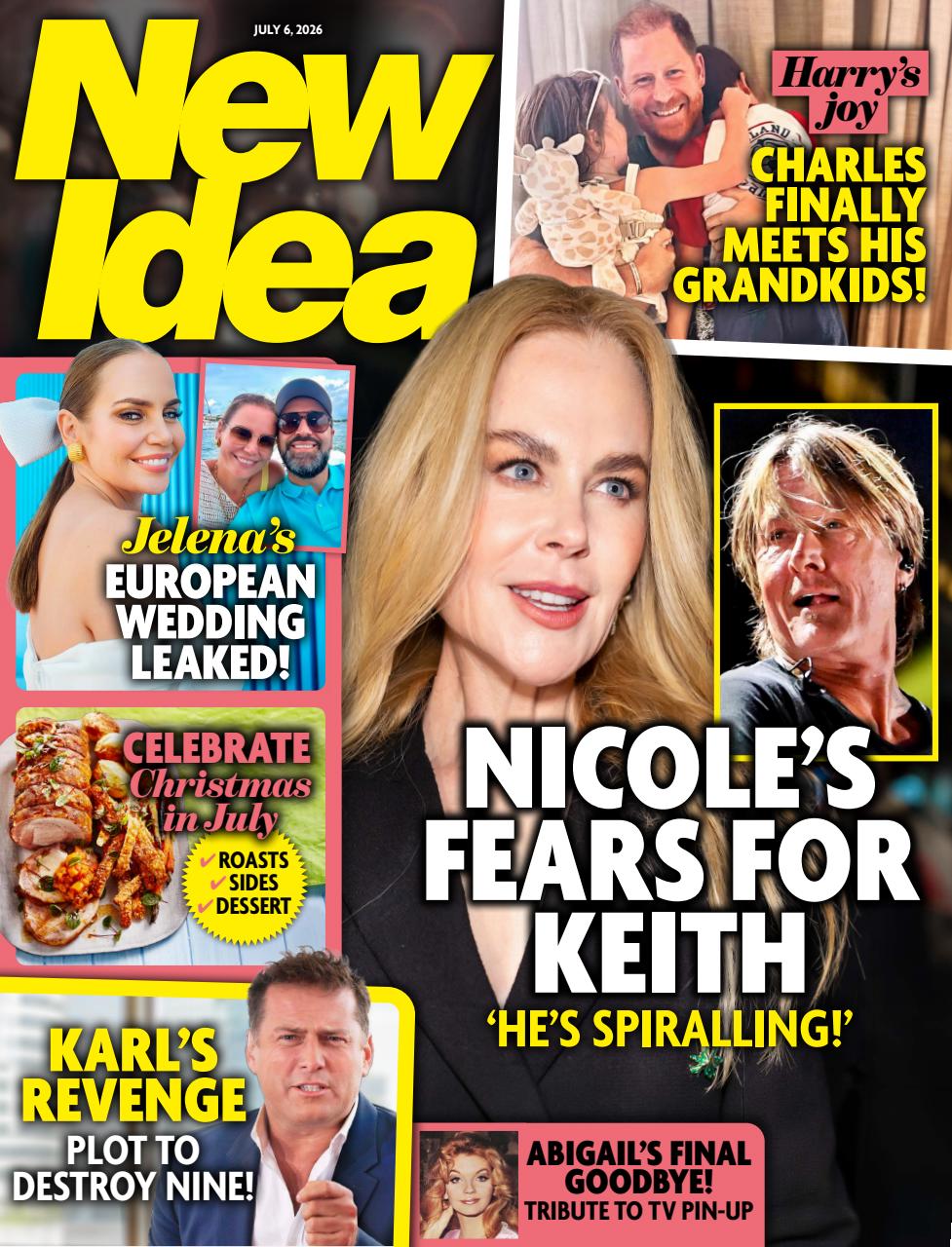New Idea Preview Pages