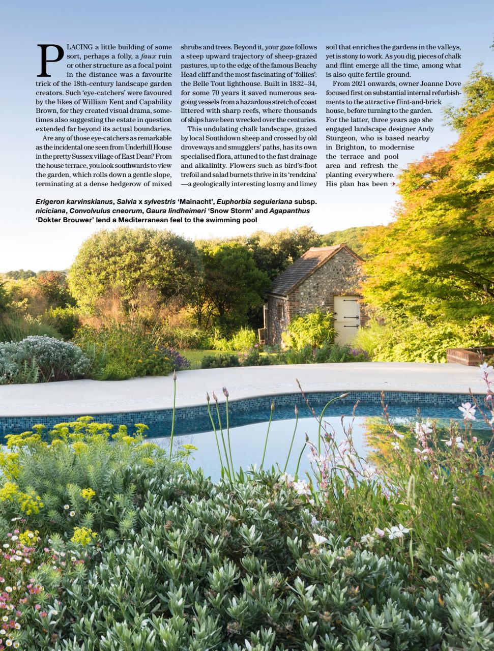 Country Life Preview Pages