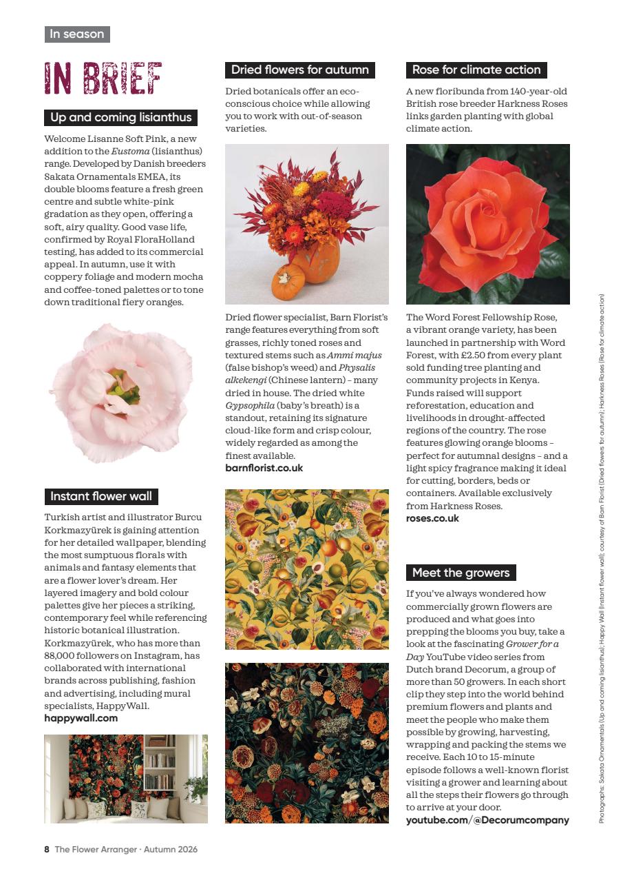 The Flower Arranger Preview Pages