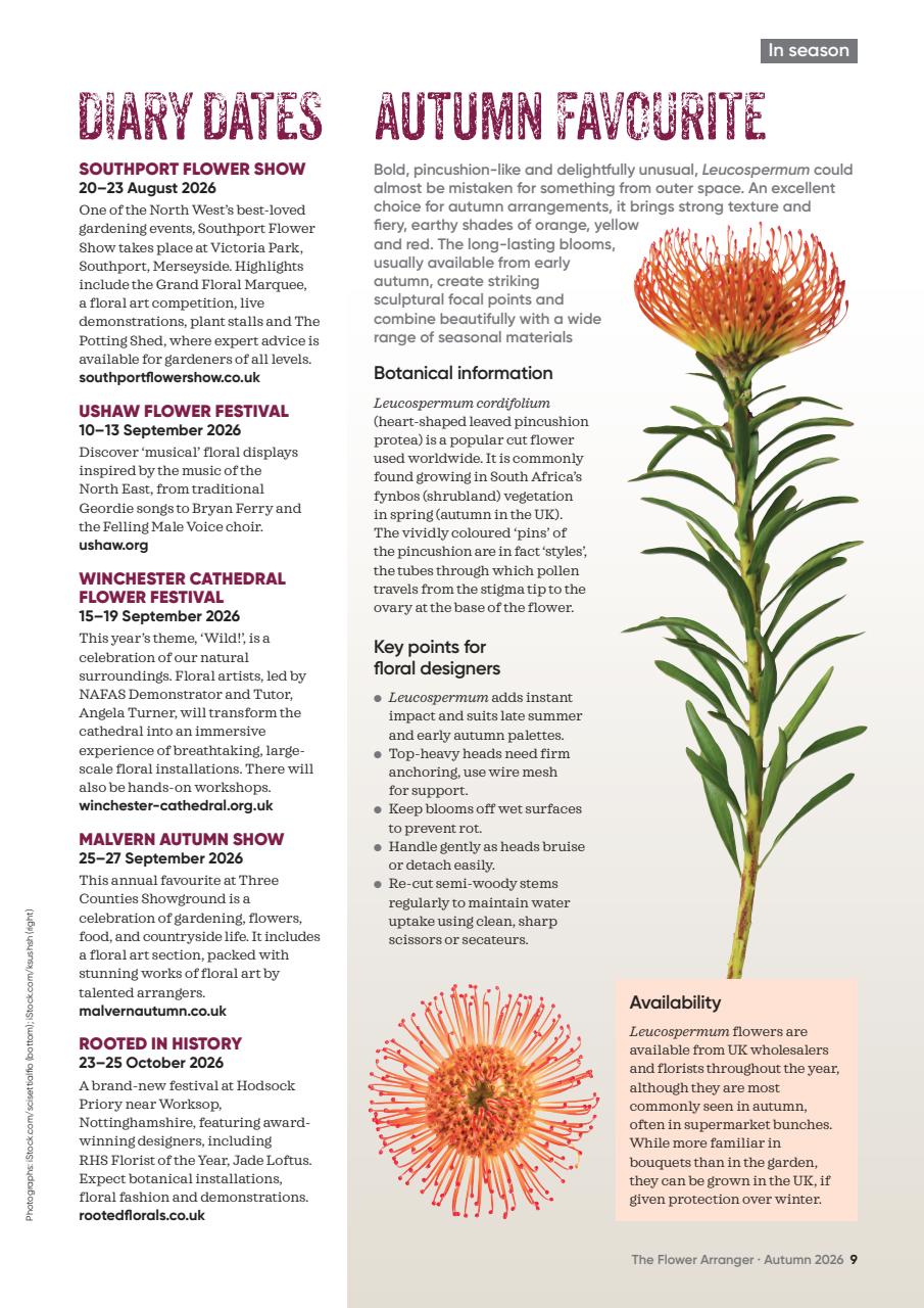 The Flower Arranger Preview Pages