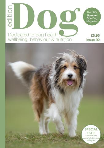 Edition Dog issue Edition Dog 92