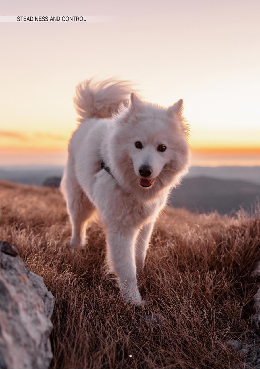 Edition Dog Preview Pages