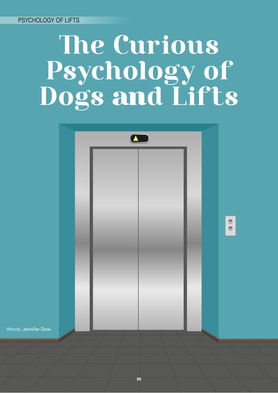 Edition Dog Preview Pages