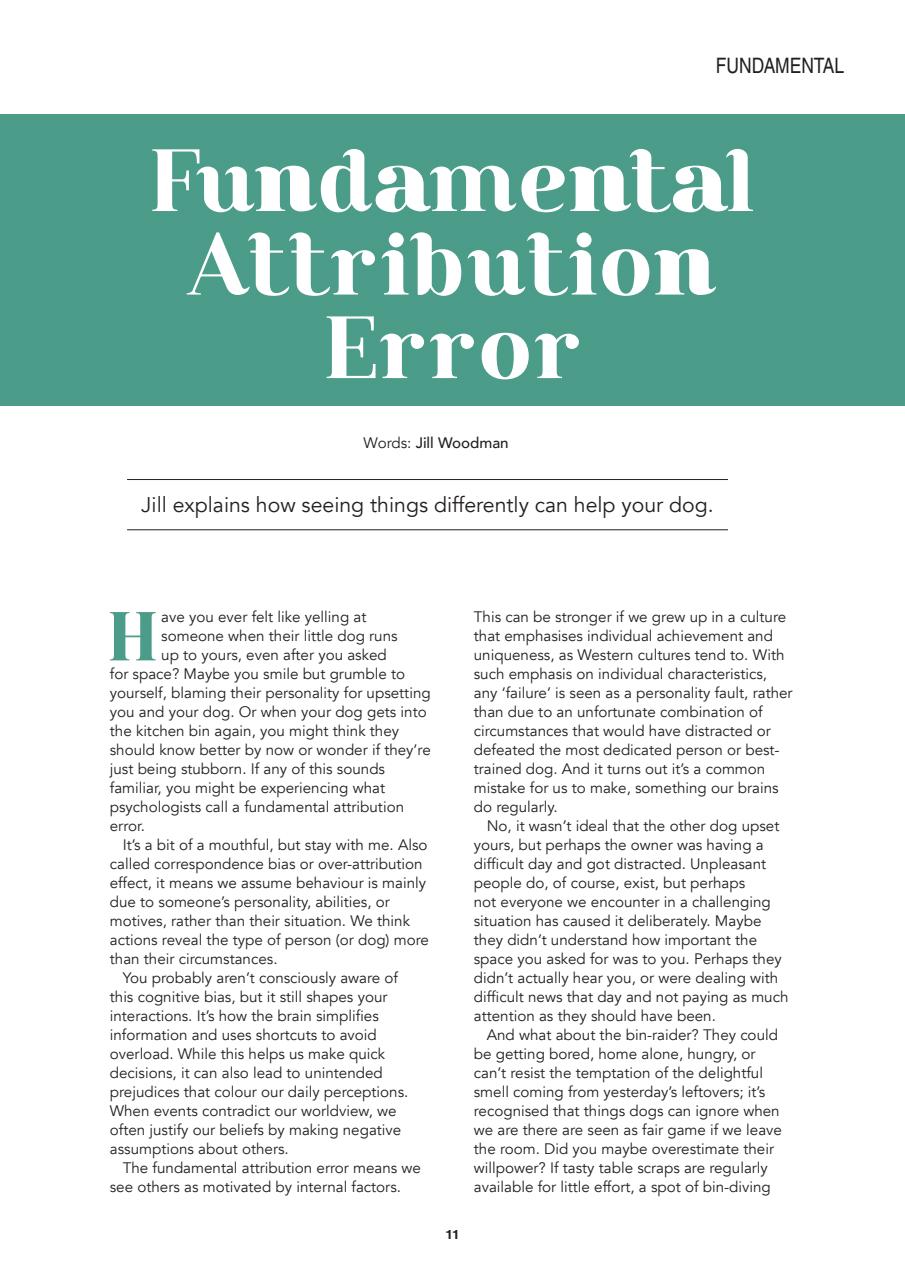 Edition Dog Preview Pages