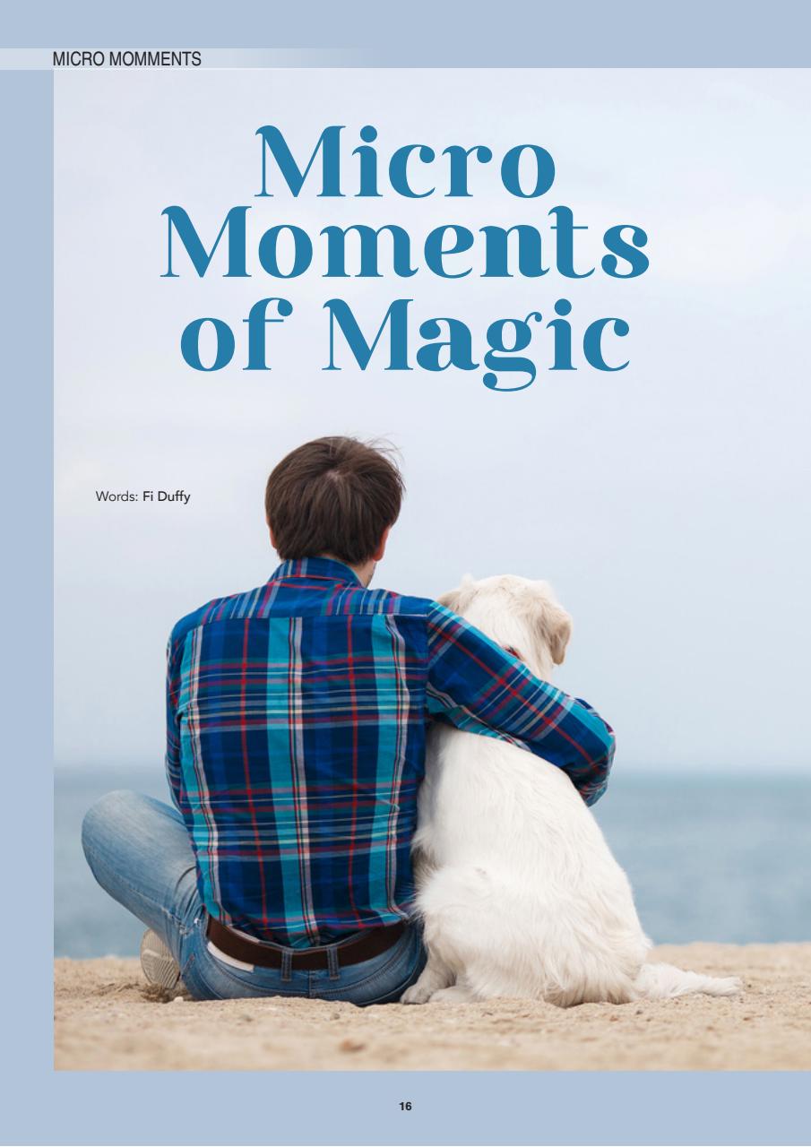 Edition Dog Preview Pages