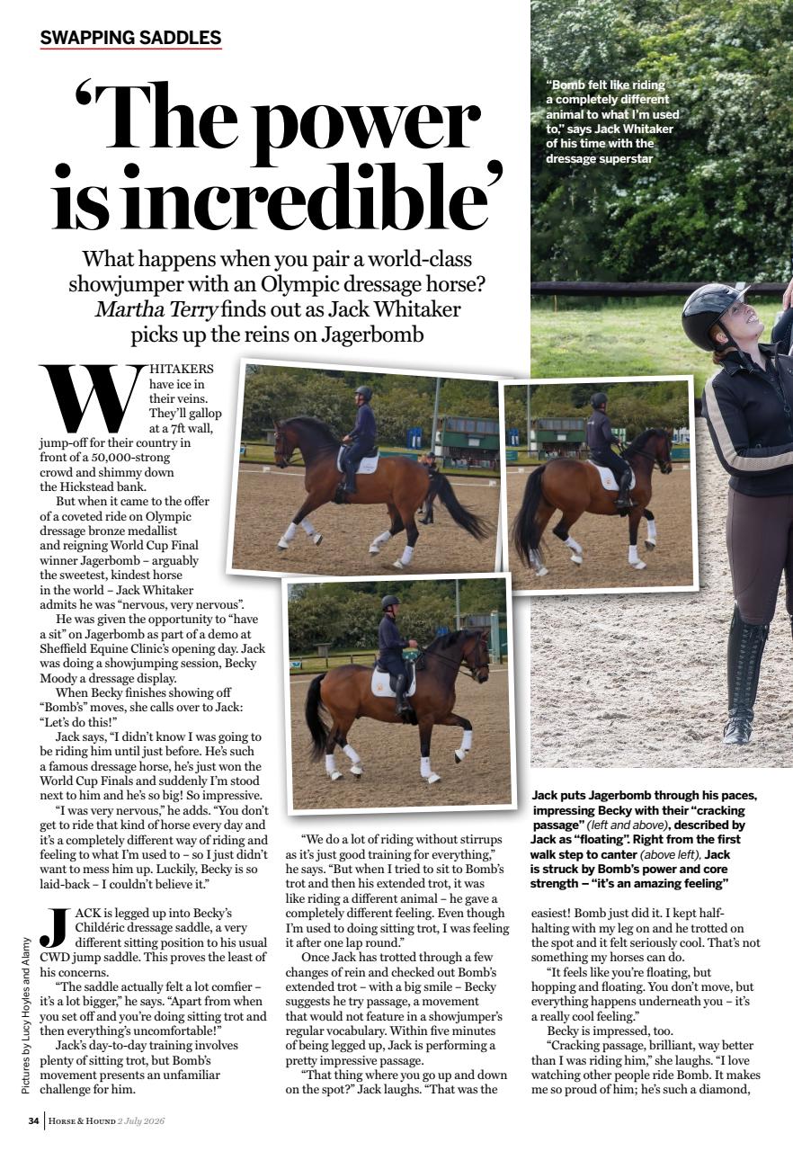 Horse & Hound Preview Pages