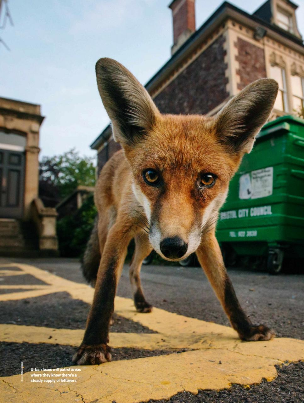 BBC Countryfile Magazine Preview Pages