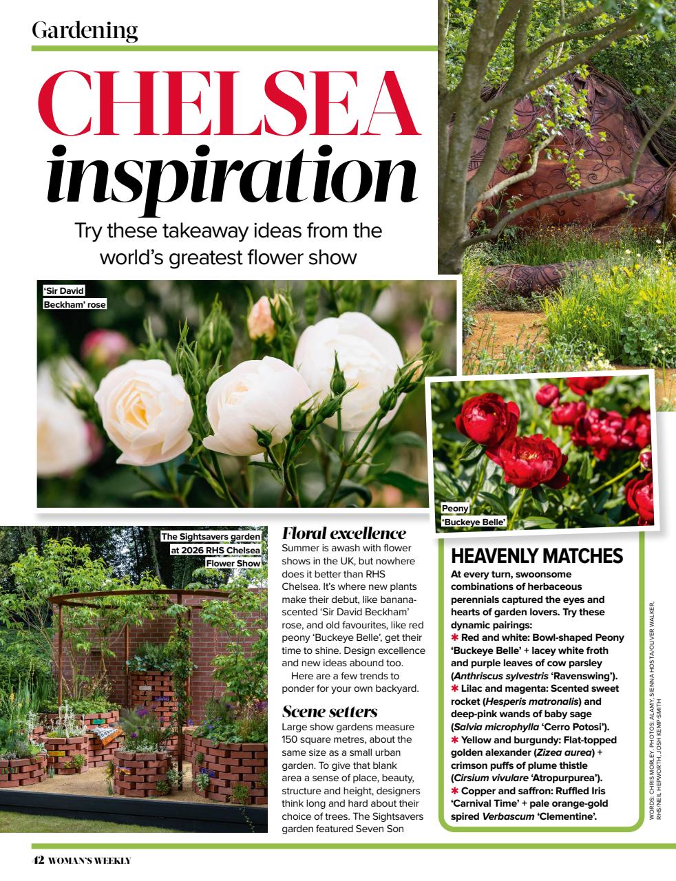 Woman's Weekly Preview Pages