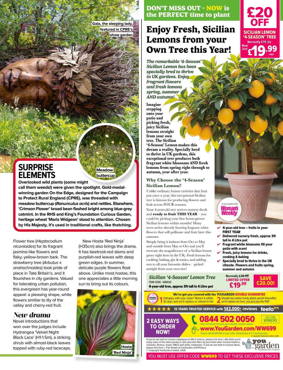 Woman's Weekly Preview Pages