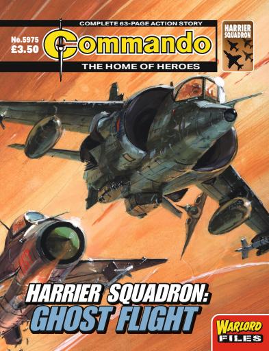 Commando issue 