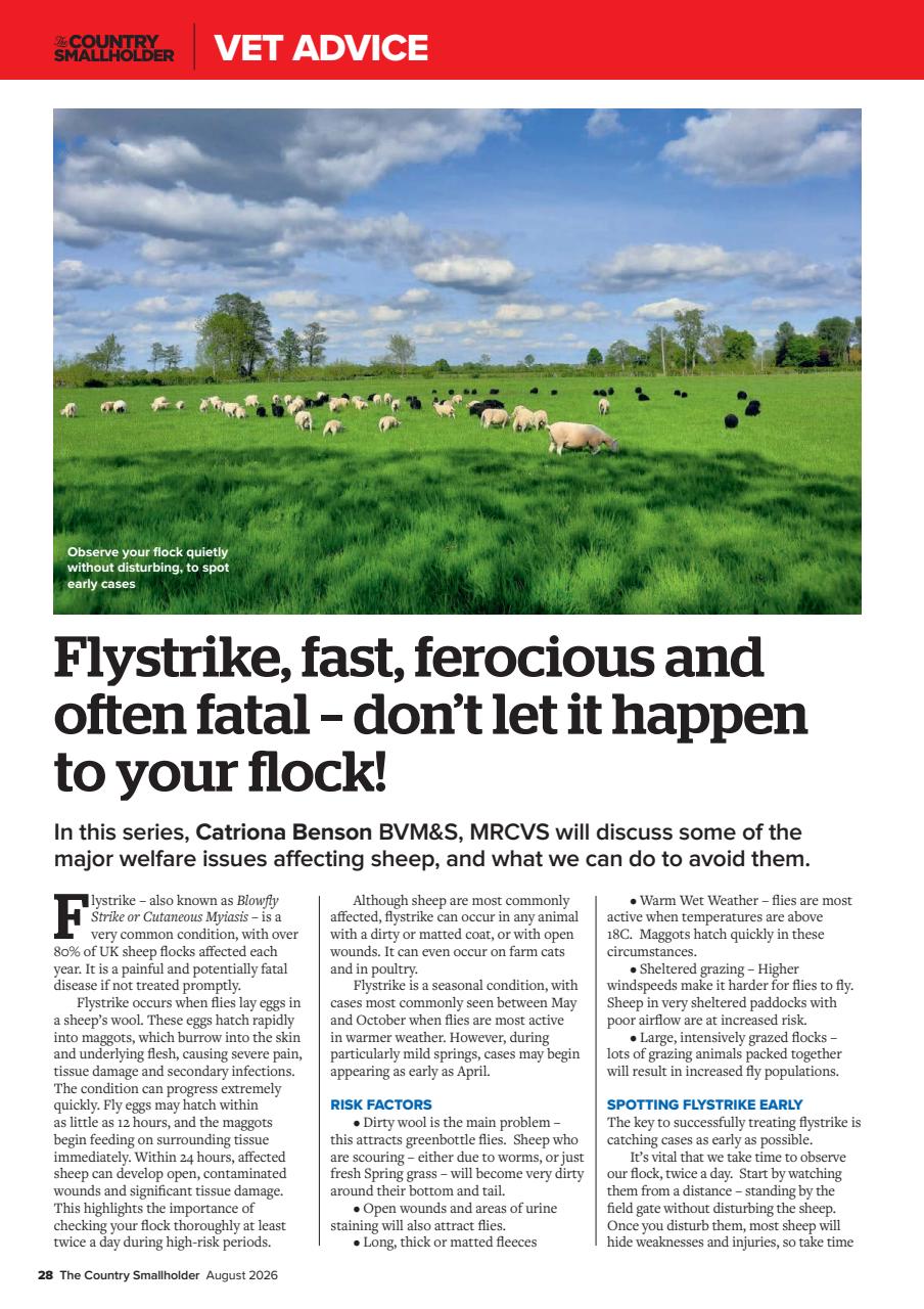 The Country Smallholder Preview Pages