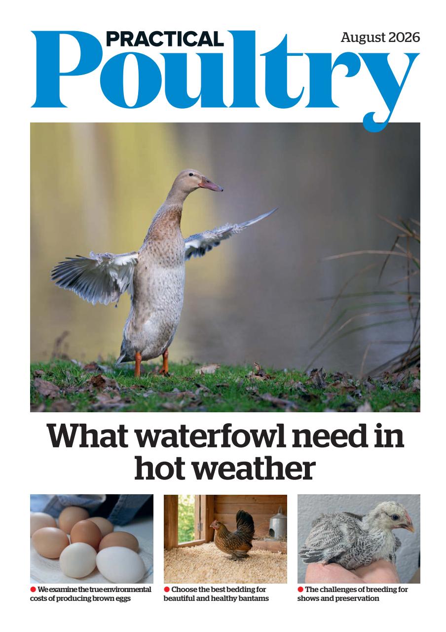 The Country Smallholder Preview Pages