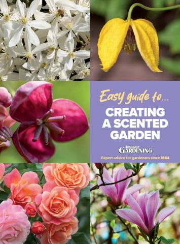 Amateur Gardening issue Amateur Gardening Easy Guide #14