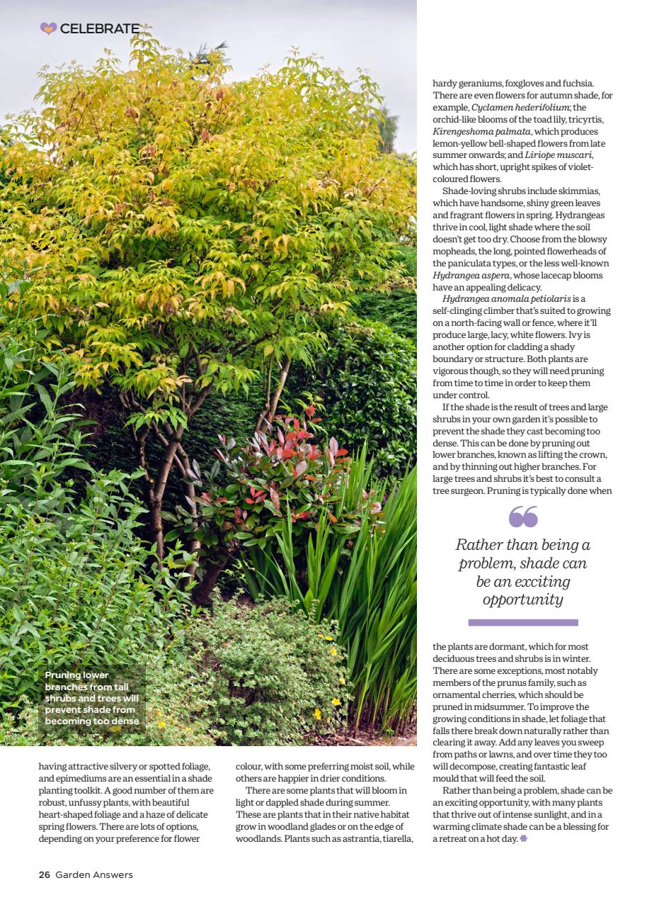 Garden Answers Preview Pages