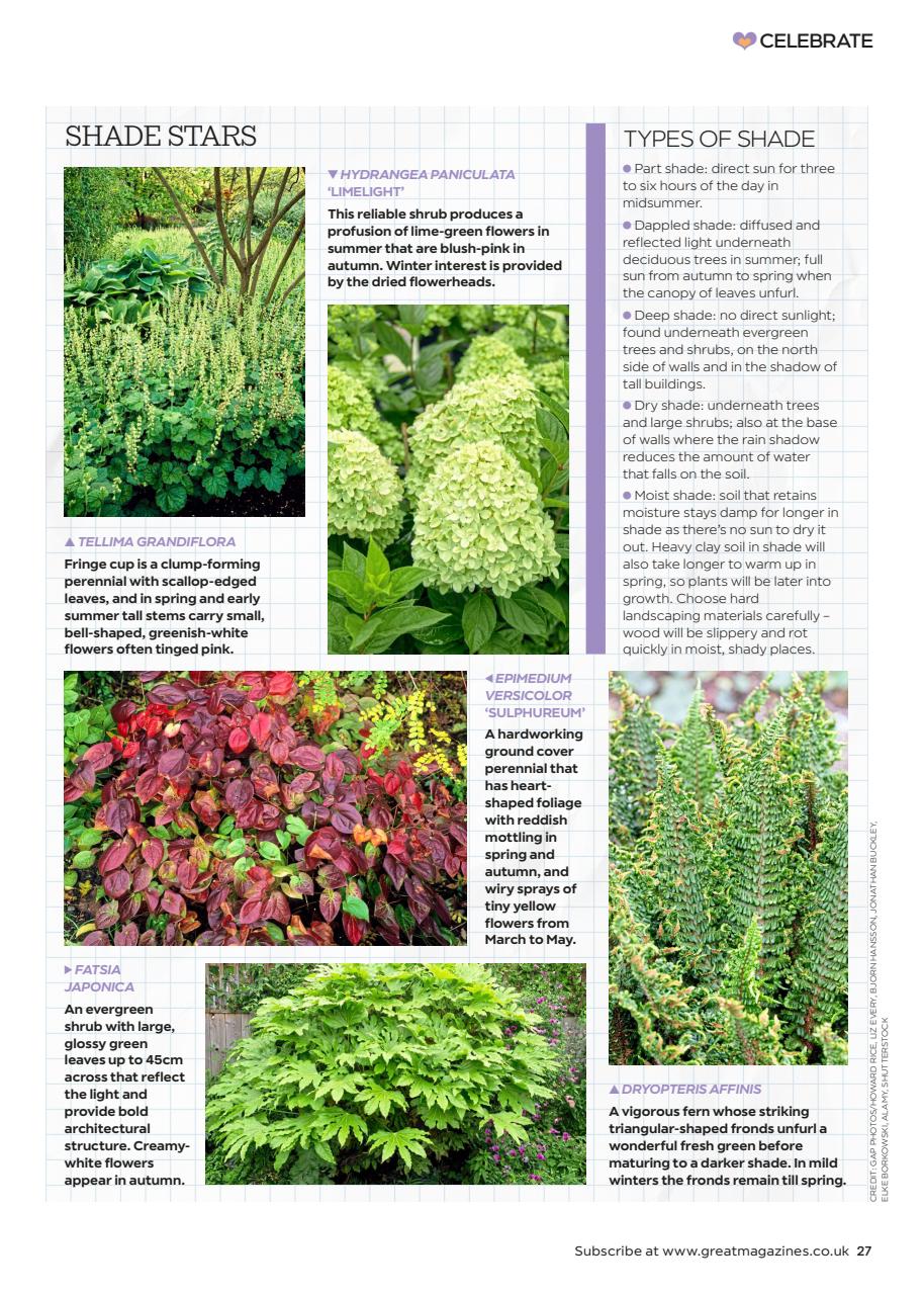 Garden Answers Preview Pages