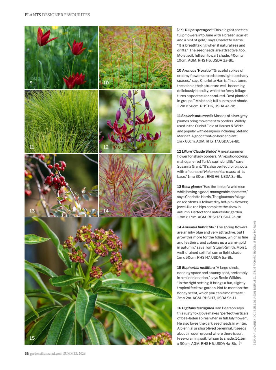 Gardens Illustrated Preview Pages