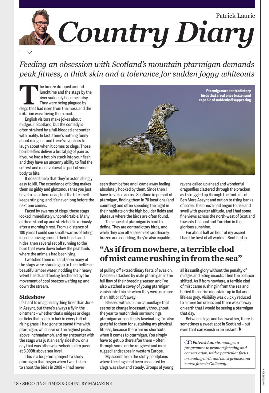 Shooting Times & Country Preview Pages