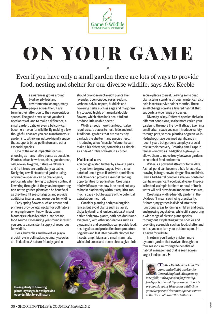 Shooting Times & Country Preview Pages