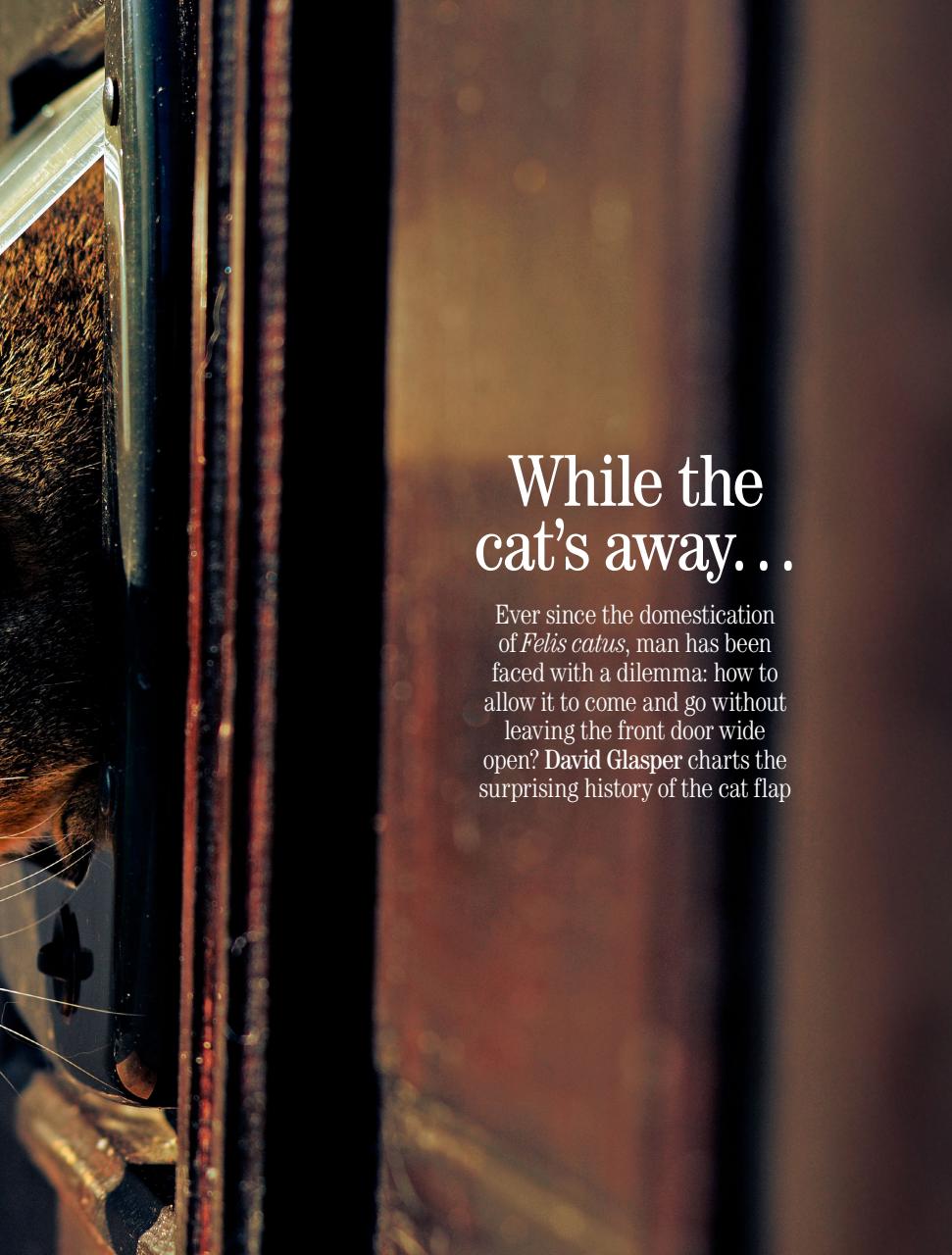 Country Life Preview Pages