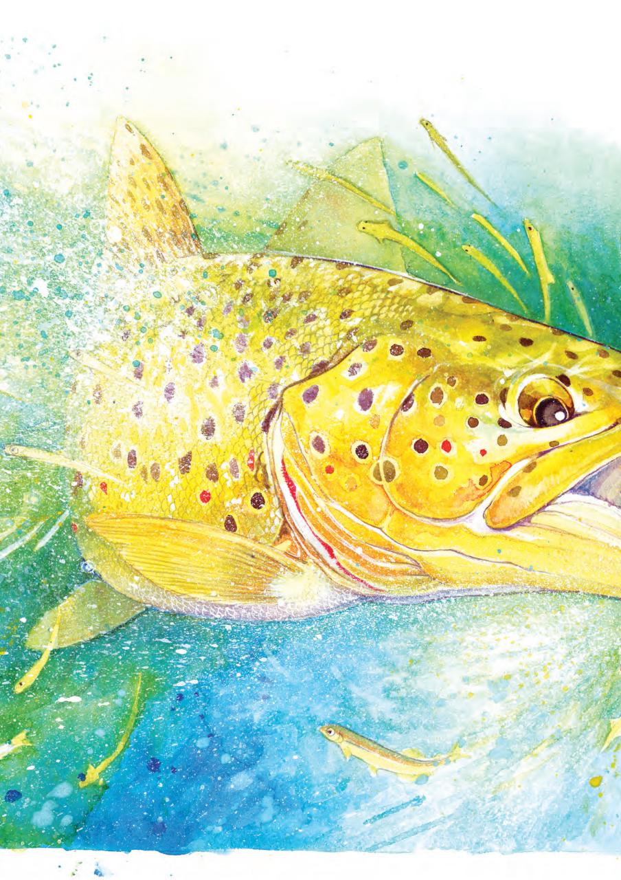 Freshwater Fishing Australia Preview Pages