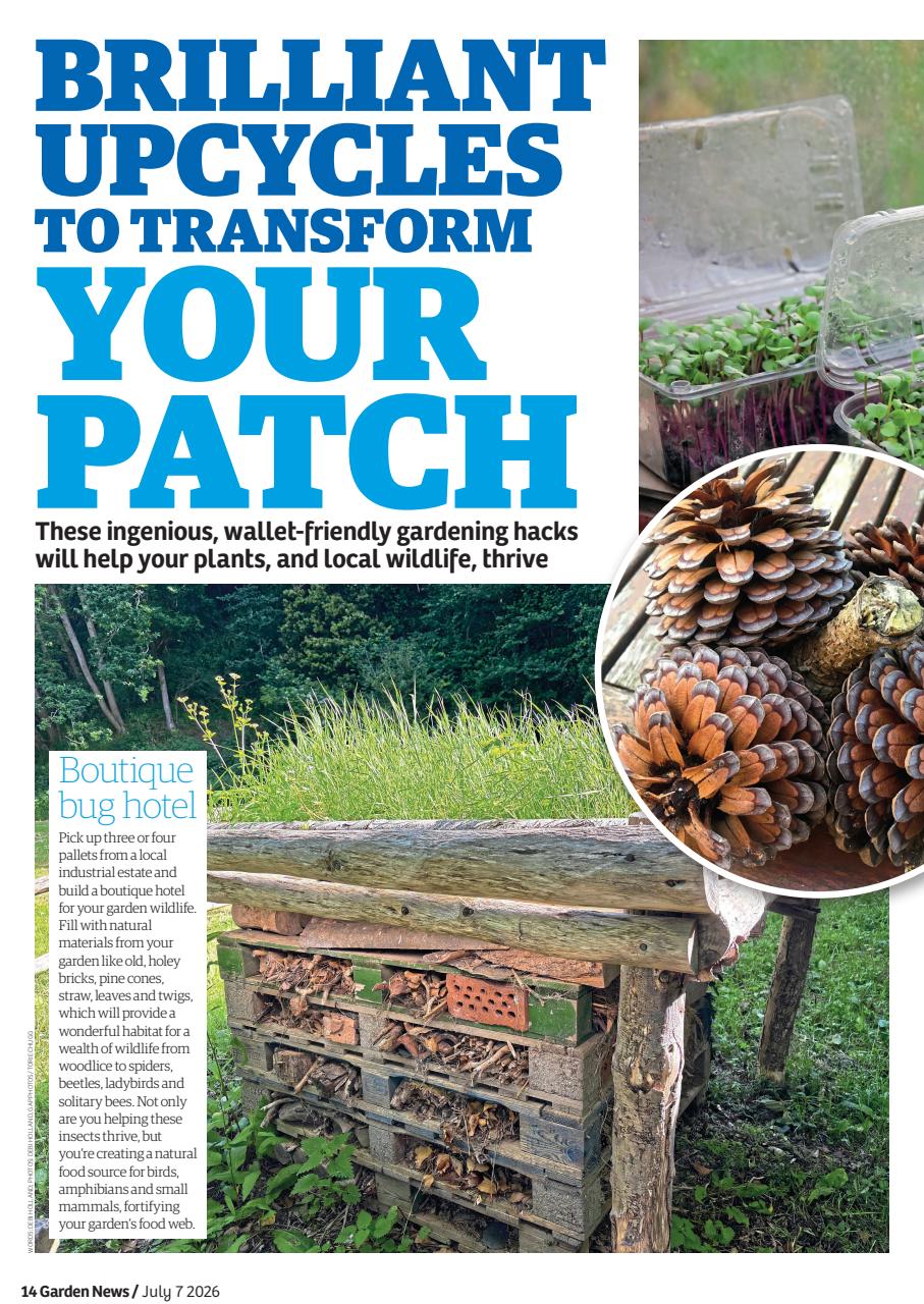 Garden News Preview Pages