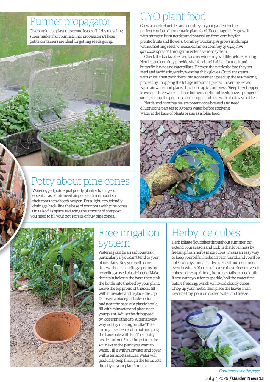 Garden News Preview Pages