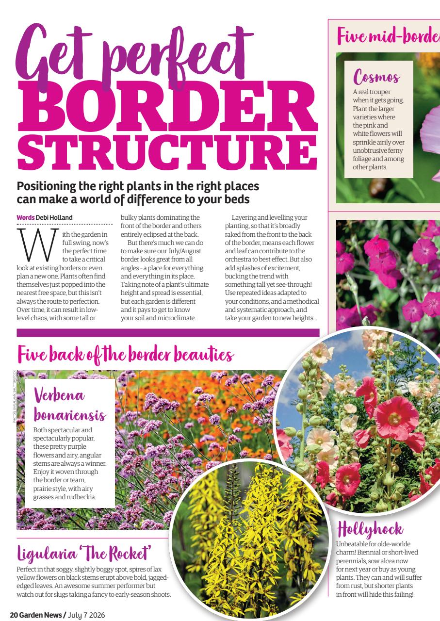 Garden News Preview Pages