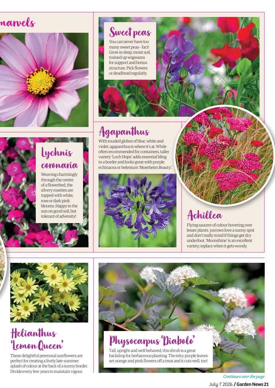 Garden News Preview Pages
