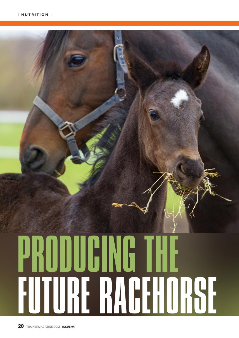European Trainer Magazine - horse racing Preview Pages