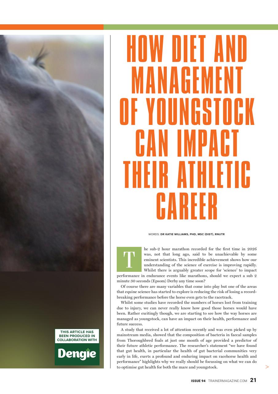 European Trainer Magazine - horse racing Preview Pages