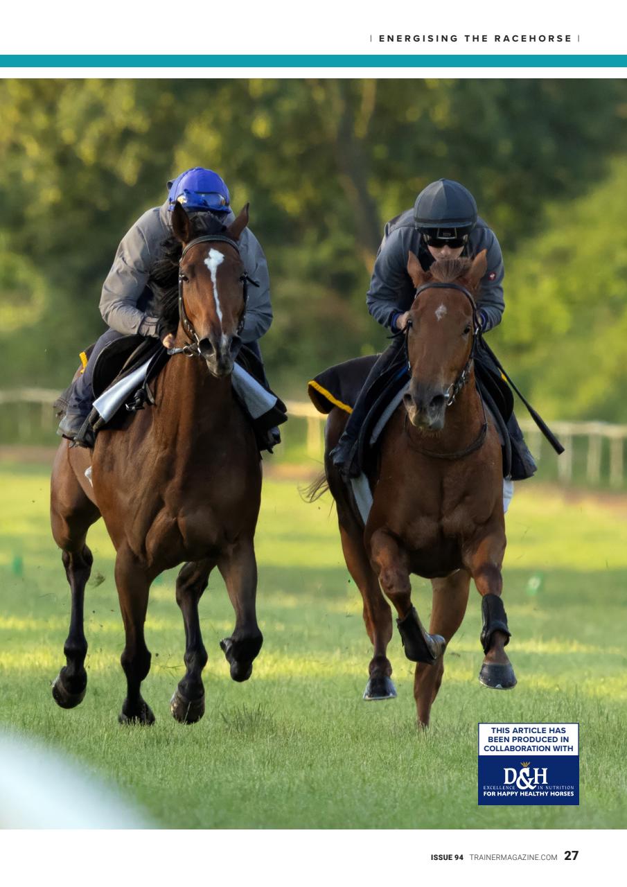 European Trainer Magazine - horse racing Preview Pages