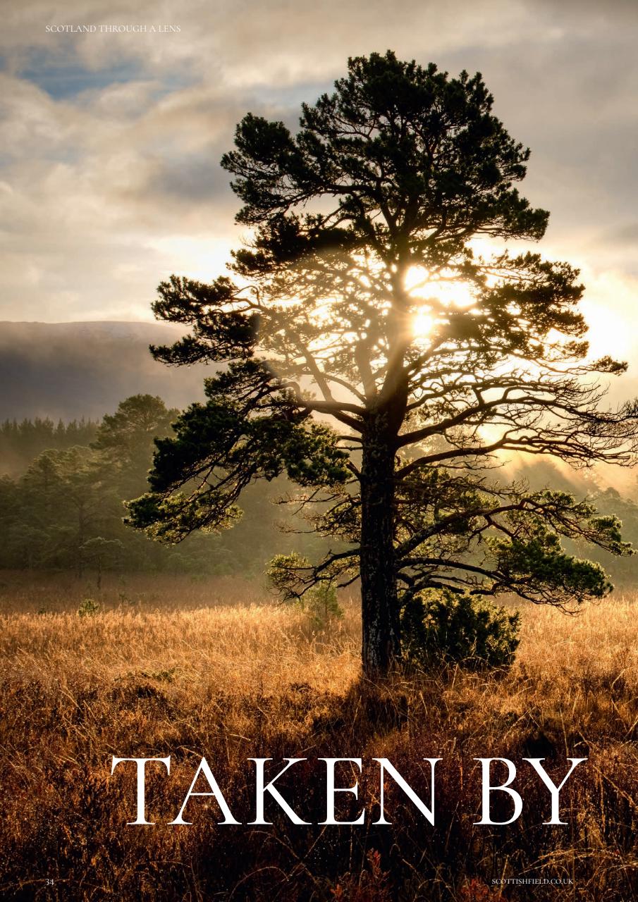 Scottish Field Preview Pages