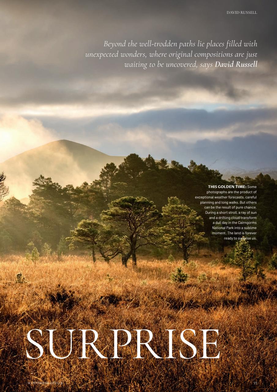 Scottish Field Preview Pages
