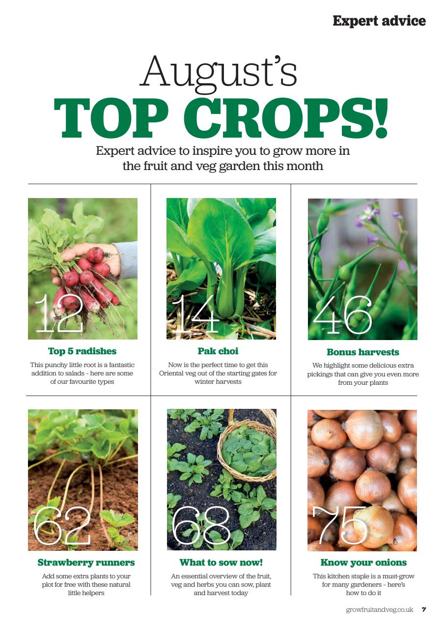 Grow Your Own Preview Pages