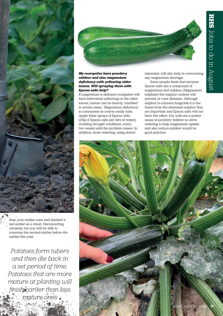 Grow Your Own Preview Pages