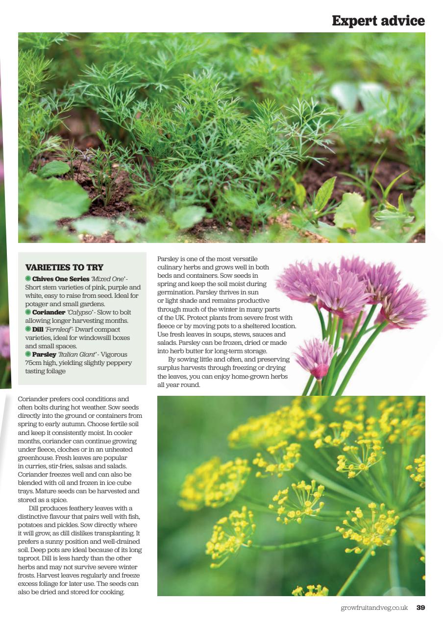 Grow Your Own Preview Pages